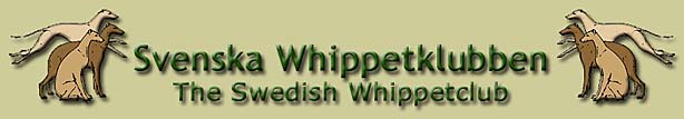 Whippet Club Schweden