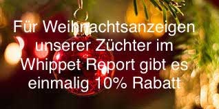Whippet Report Angebot